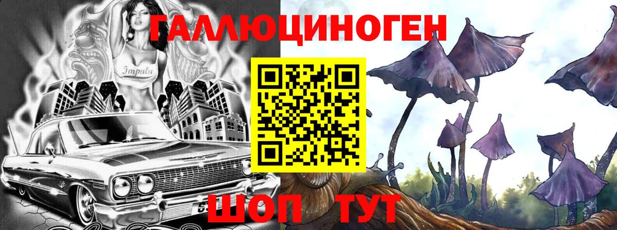 Елец  Галлюциногенные грибы Magic Shrooms  Вход с VPN  Галлюциногенные грибы Psilocybine cubensis 